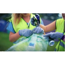 bagging_photo_1715956734